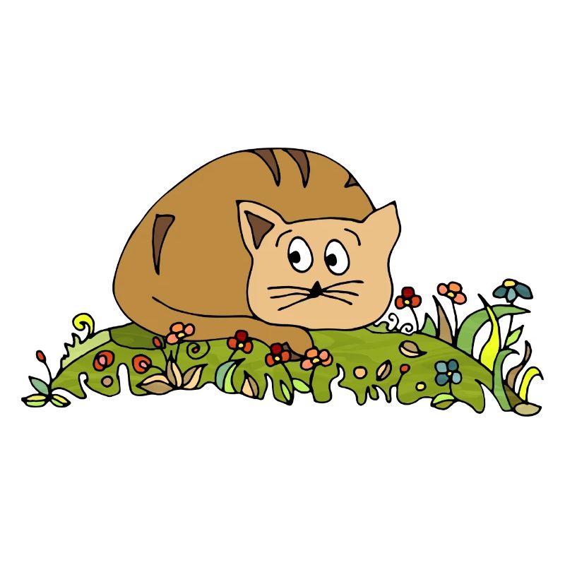 chat