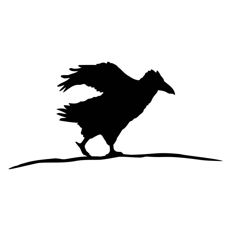 Corbeau oiseau marche corbeau course rapide course drôle
