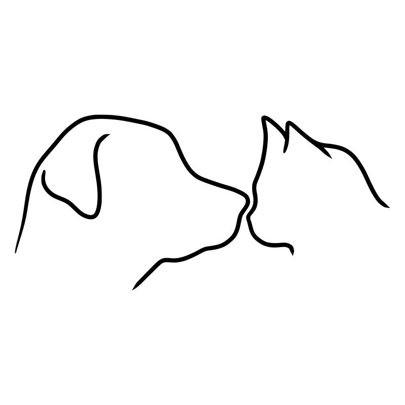 Tier Kopf Hund Katze