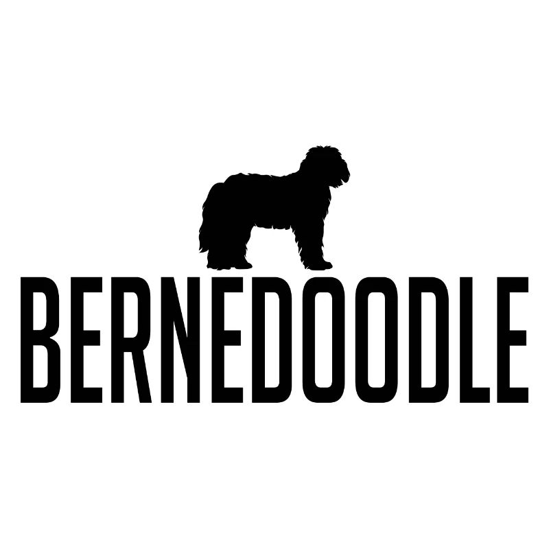 Bernedoodle Race de chiens Chiens Wilsigns