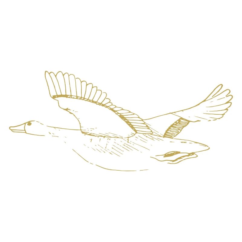 Illustrierte Designs mit Gans