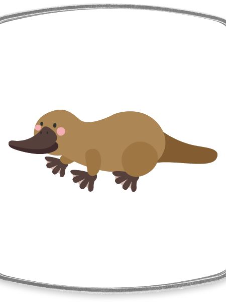 ornithorynque