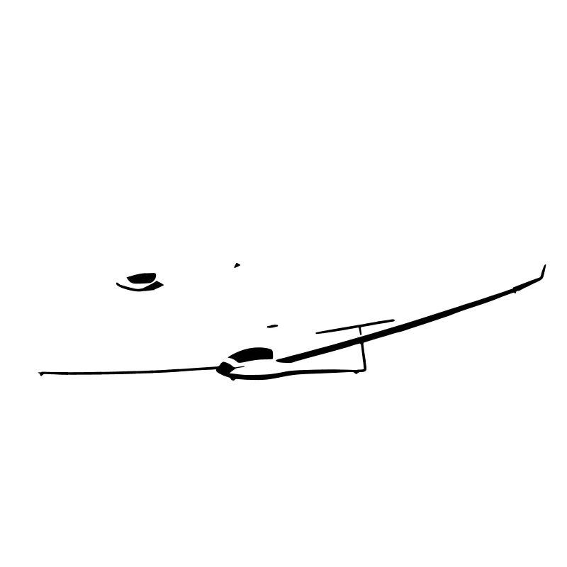 Glider Glider Glider Pilot Pilot