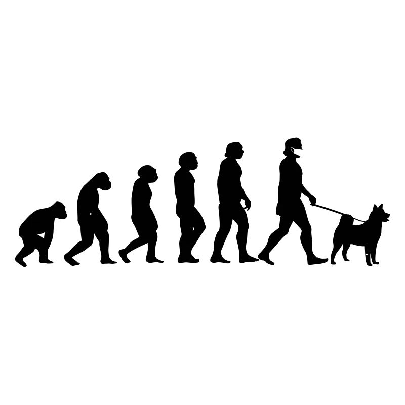 Evolution dog