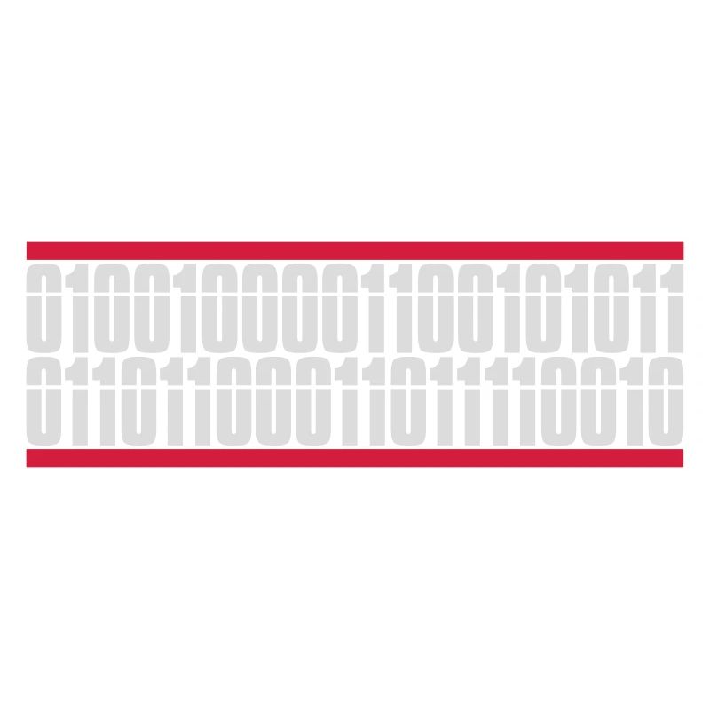 Binary Code Program Language