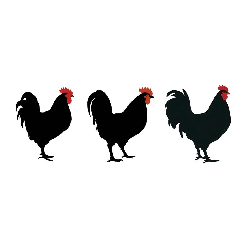 Chicken rebels