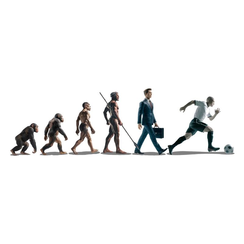 Evolution Fussball Zeichenfläche 1