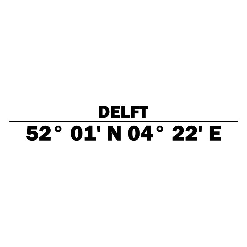 Delft coordinates