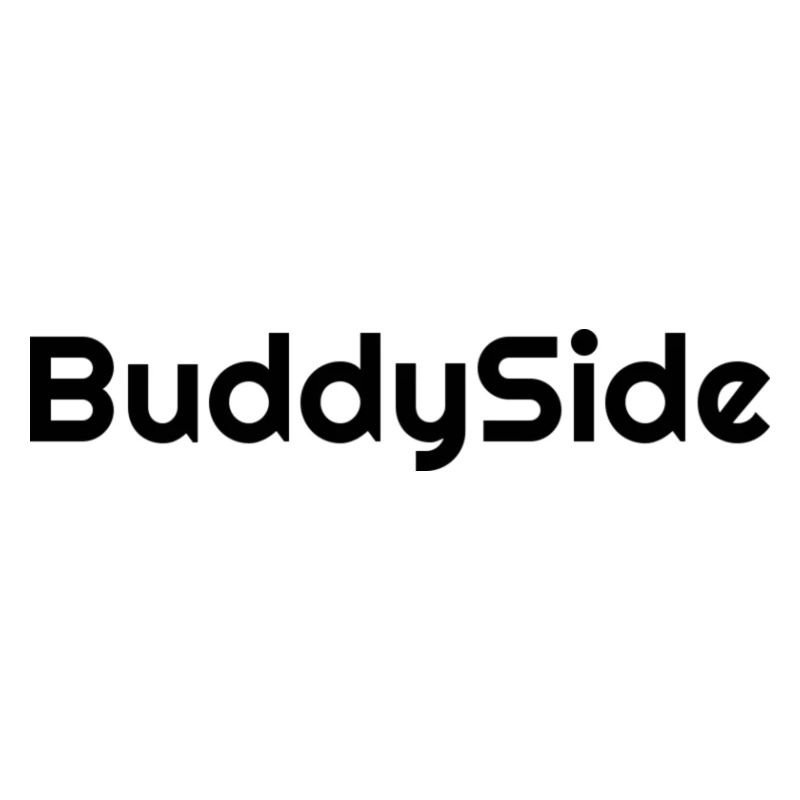 BuddySide Schriftzug Design