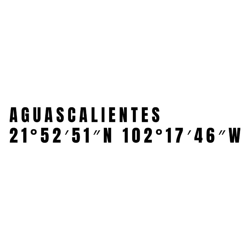 Coordonnées d’Aguascalientes Mexico