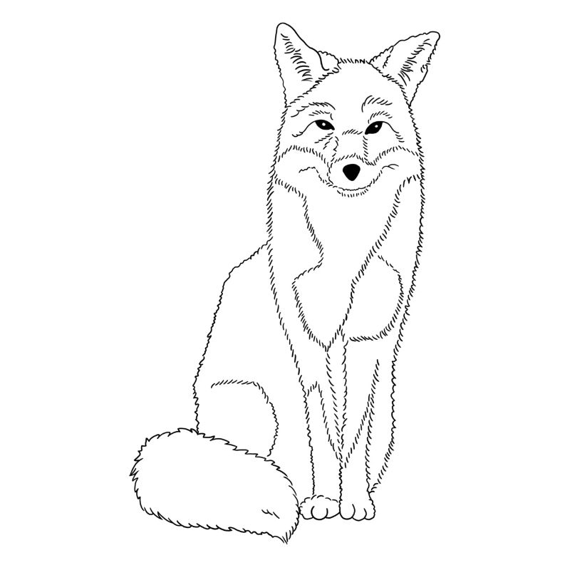 happy fox in black and white