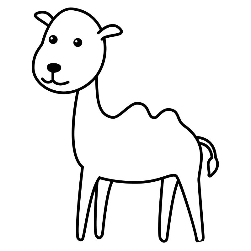 Camel Comic