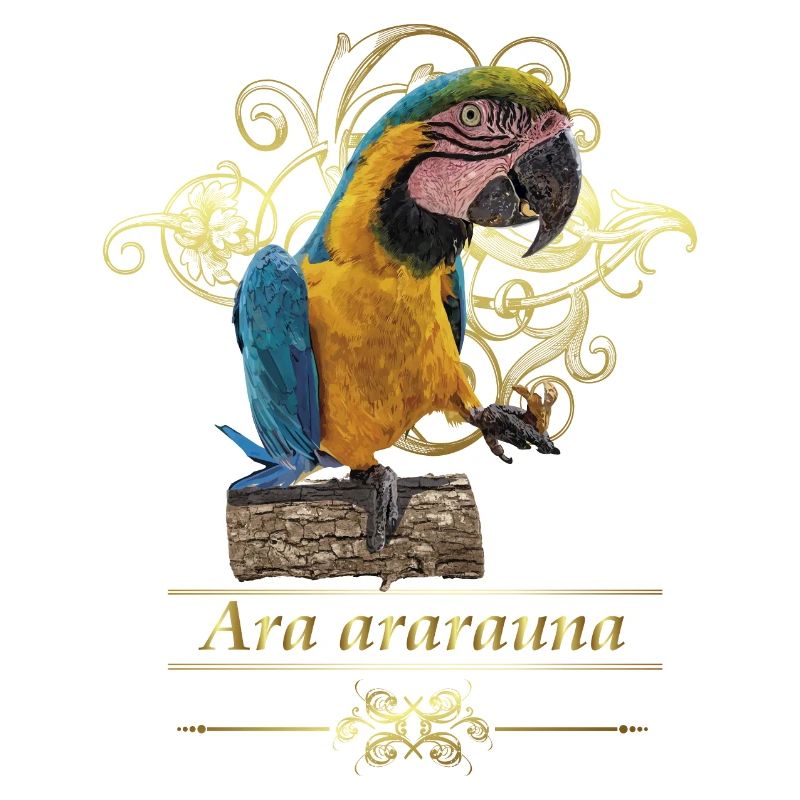L’ara bleu et jaune