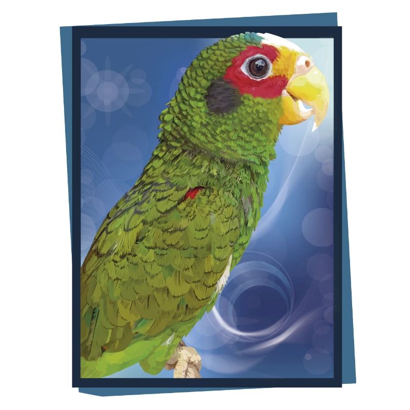 The Yucatecan parrot