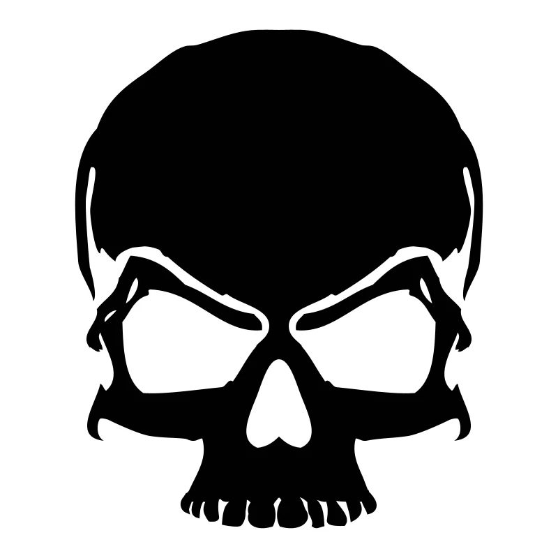 skull pirate skull