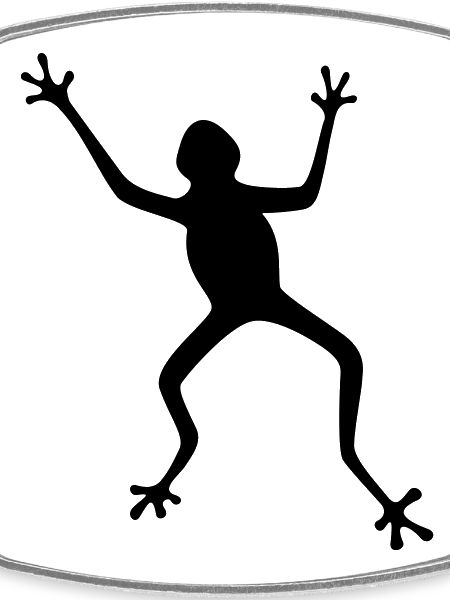 Frosch