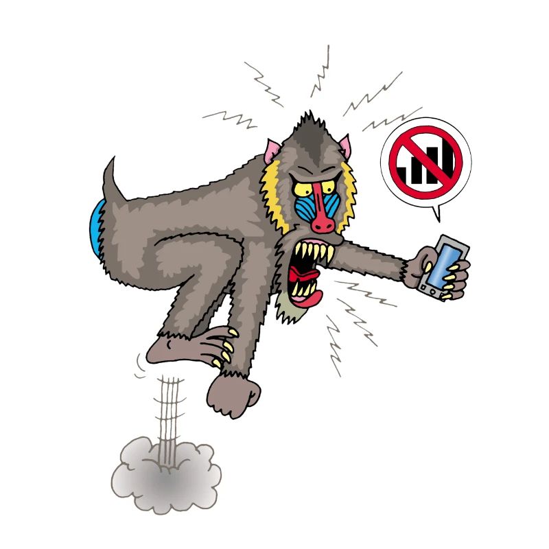 Monkey and mobile phone
