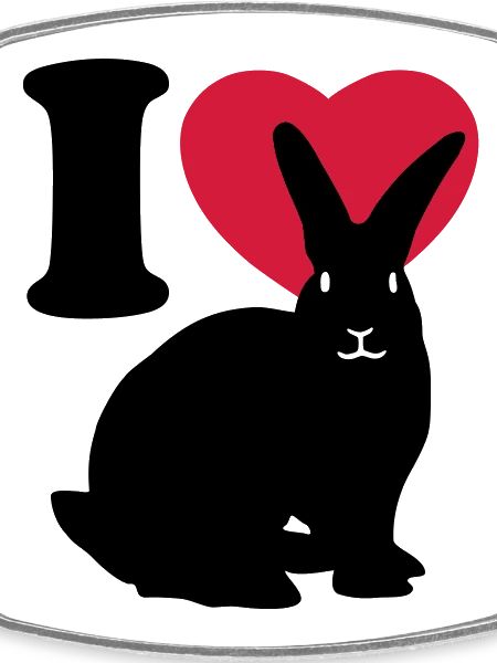 I love rabbits
