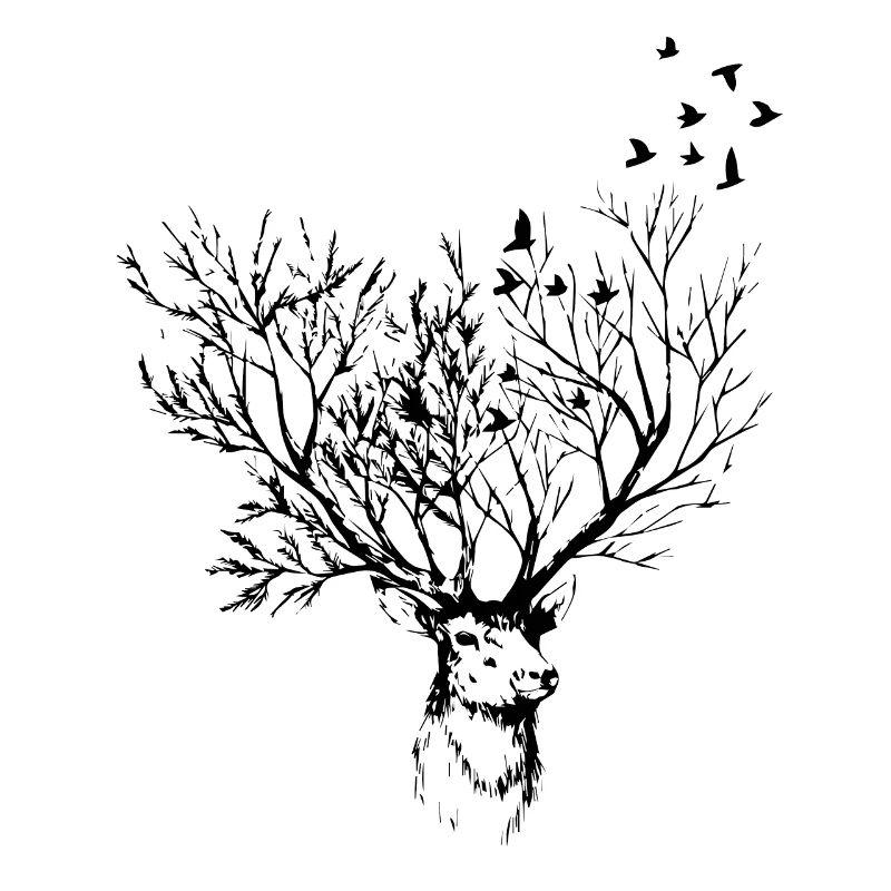 Tête de cerf avec oiseaux