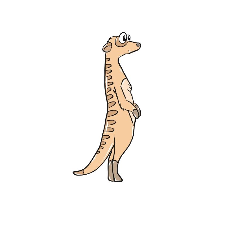Erdmännchen