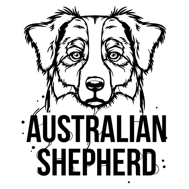 Australian Shepherd
