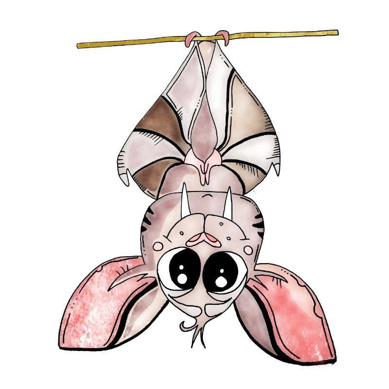 Kawaii Bat Neon Night