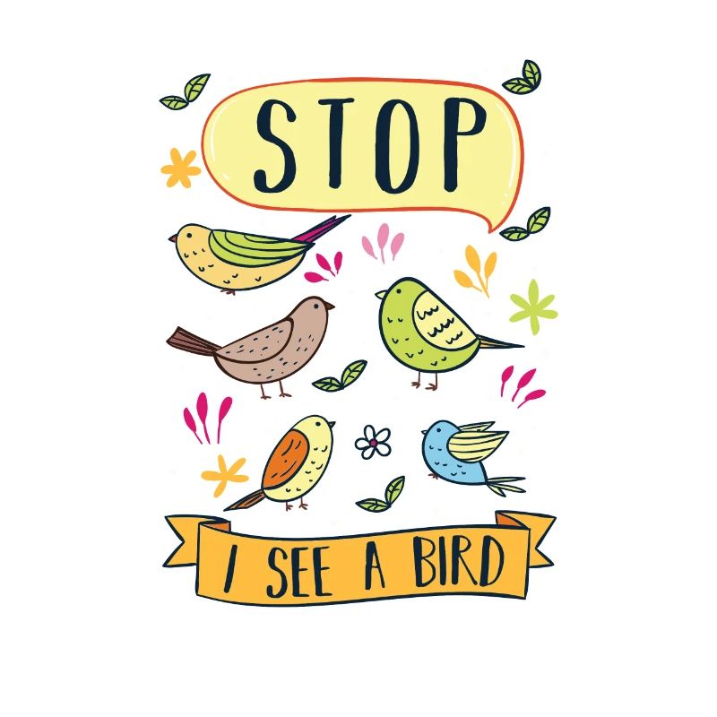 Bird Watching