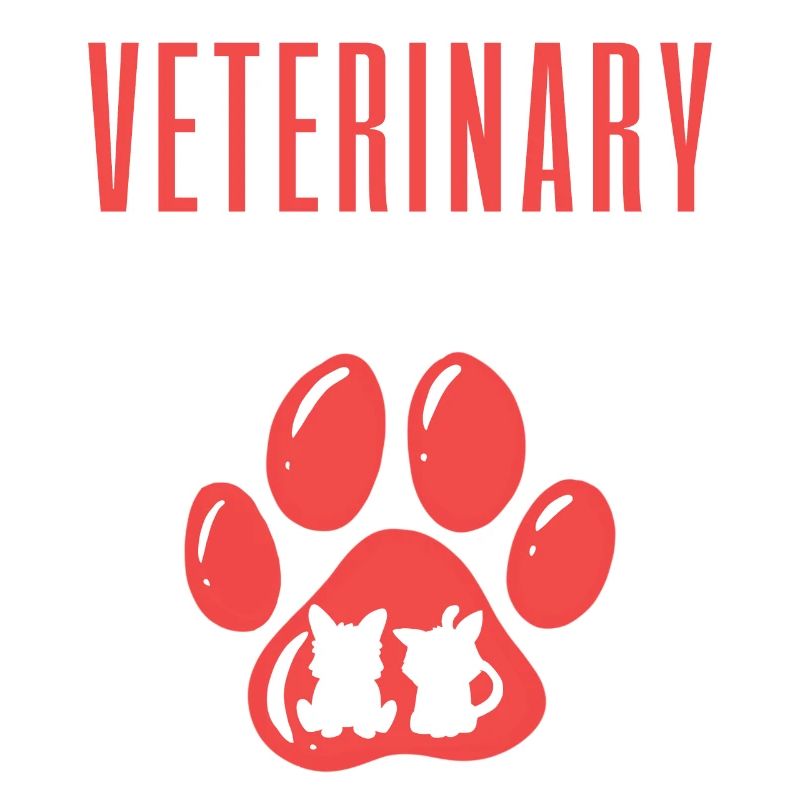 Veterinary Assistant Vet Tech