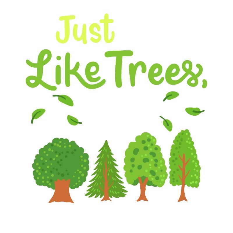 Forêt d’arbres