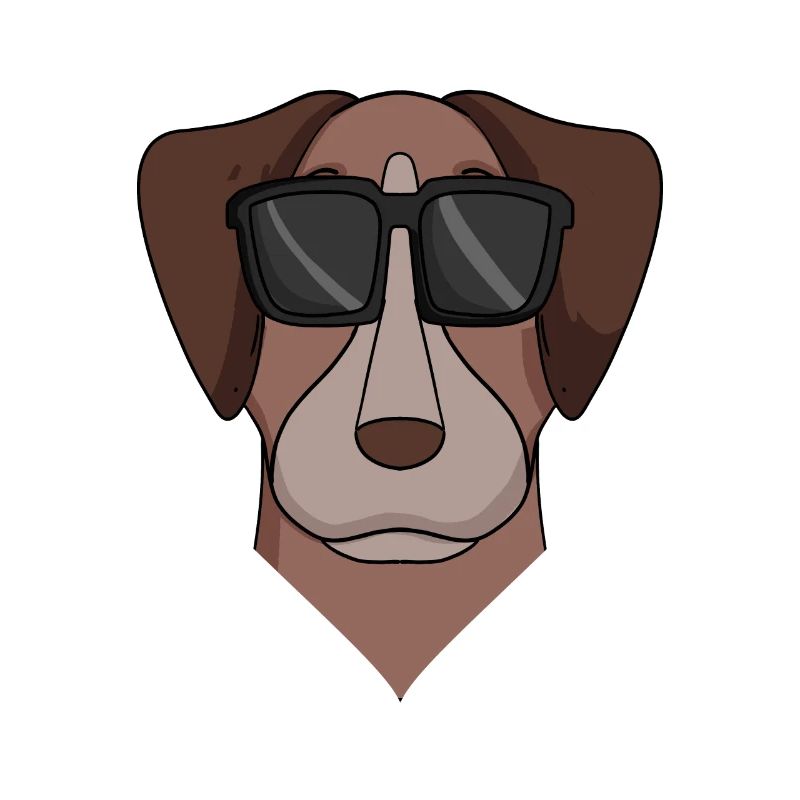 Pointer Hund Hunderasse