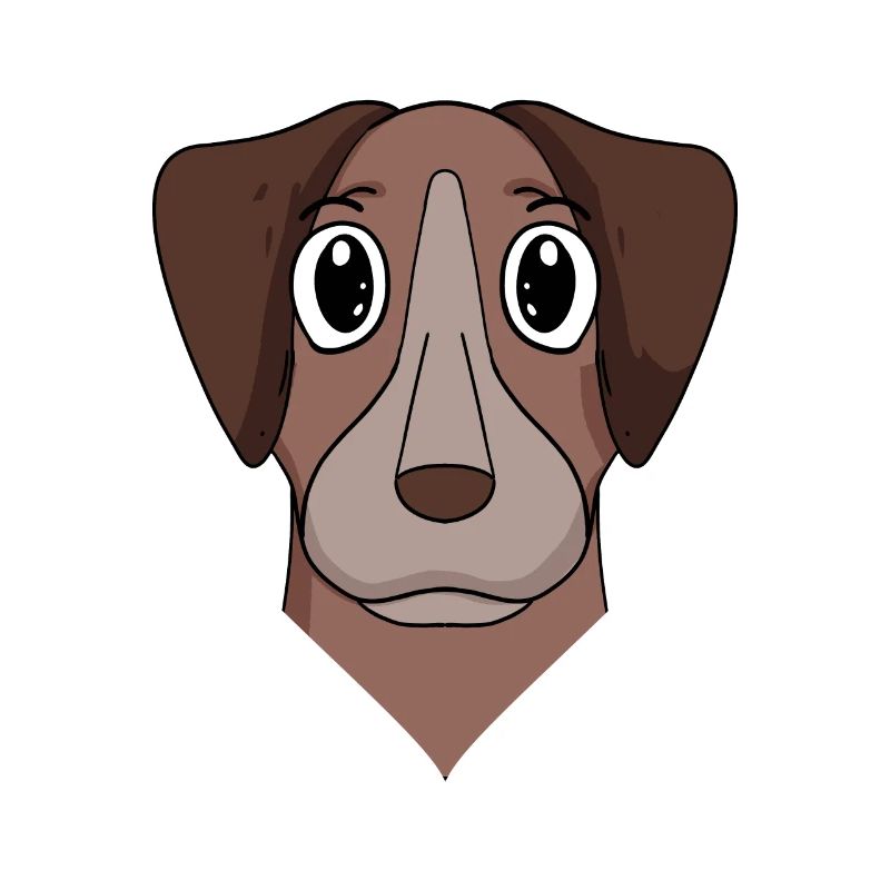 Pointer Hund Hunderasse