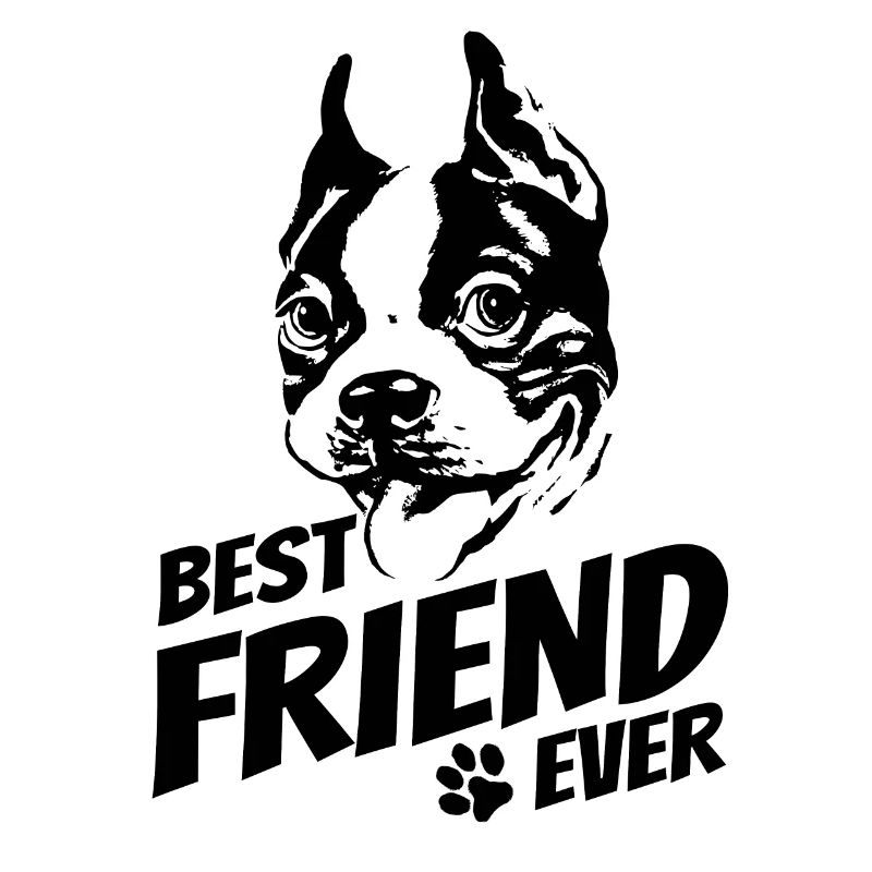 Boston Terrier - bester Freund - Hundebesitzer