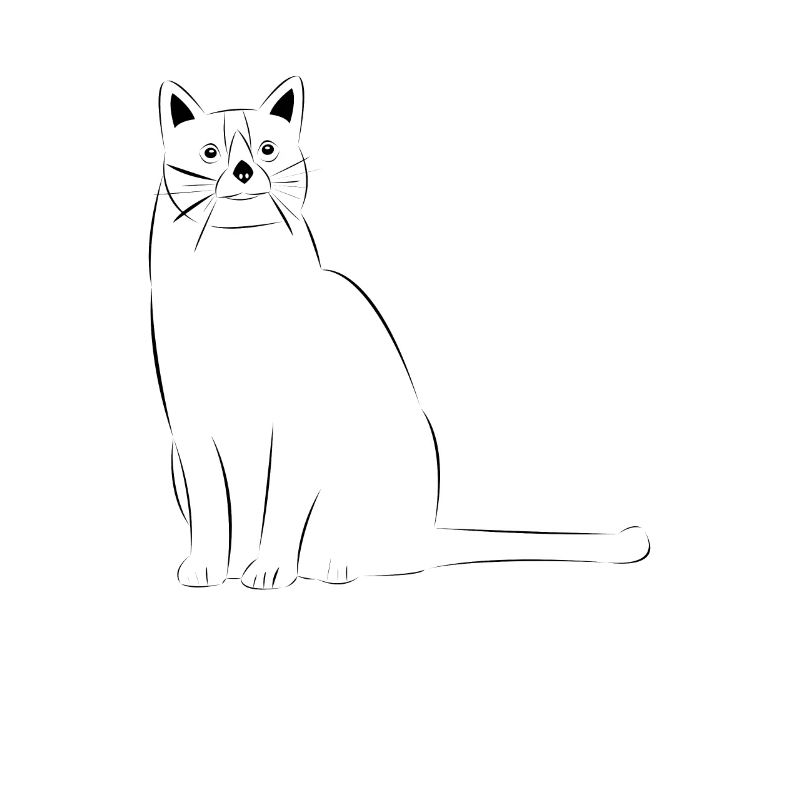 Chat dessiné