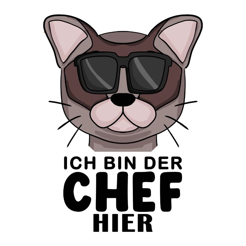 coole Katze - Burma Katze - Chef Spruch