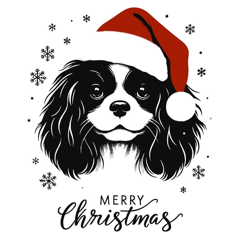 Cavalier King Charles Spaniel - Joyeux Noël