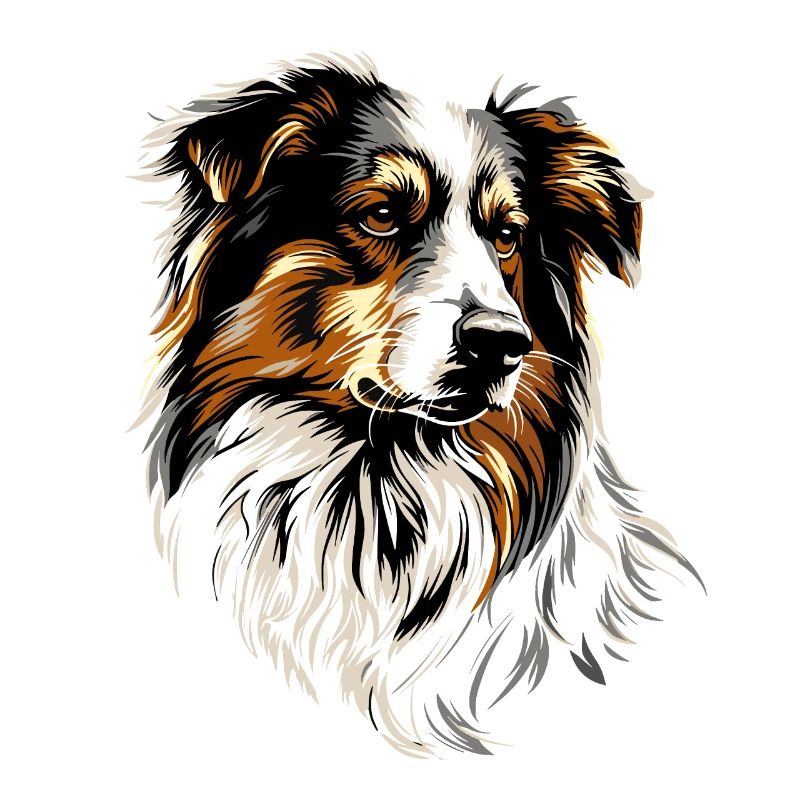 Australian Shepherd Dog Lover Cute Aussie