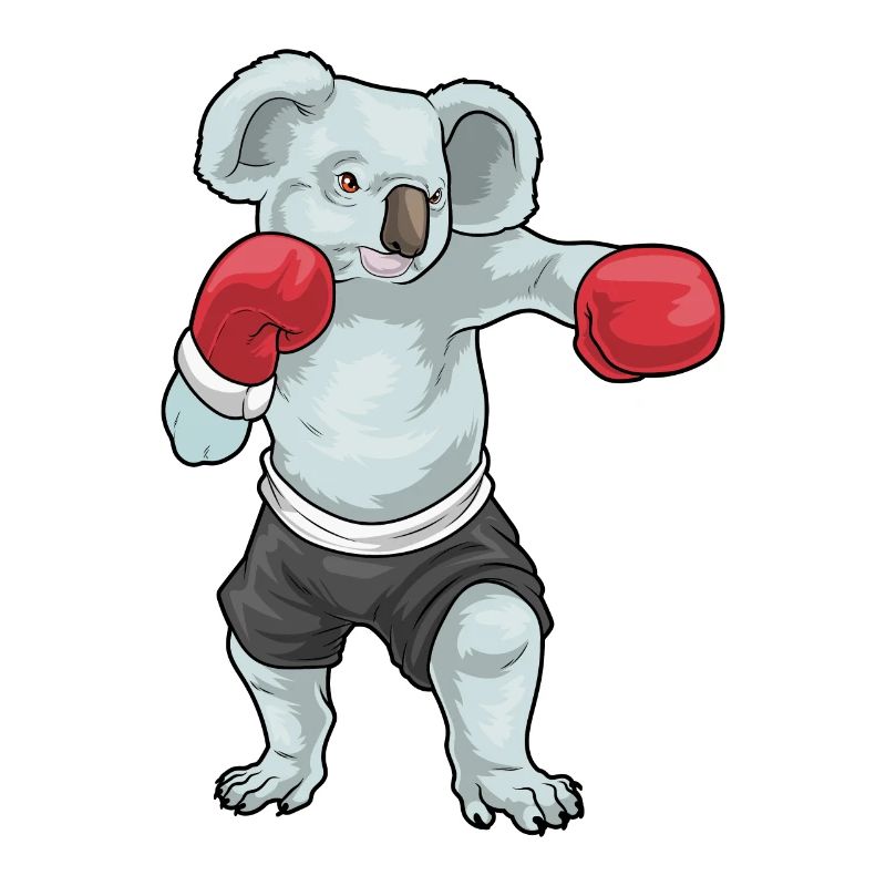 Koala Boxer Gants de Boxe Boxe