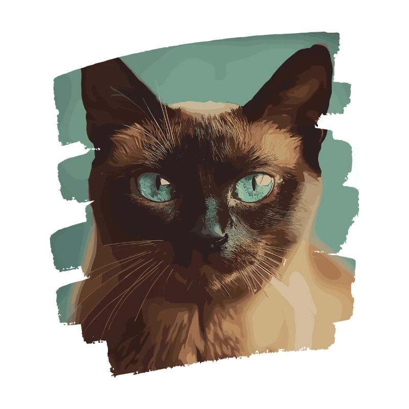 Birman Birmanie Chat Rétro