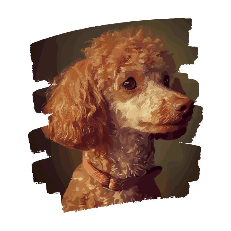 Poodle