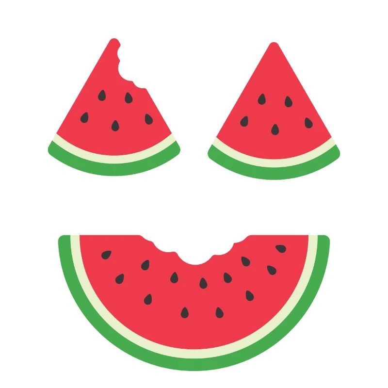 Costume de melon Carnaval Pastèque