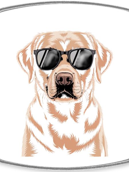 Brown Labrador