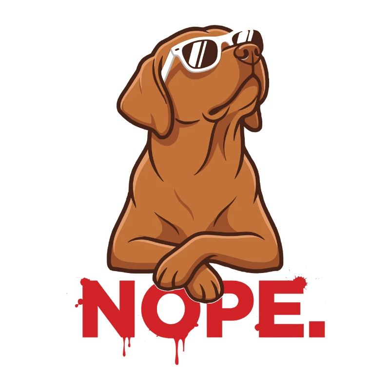 Nope. – Cool Foxred Labbi with sunglasses