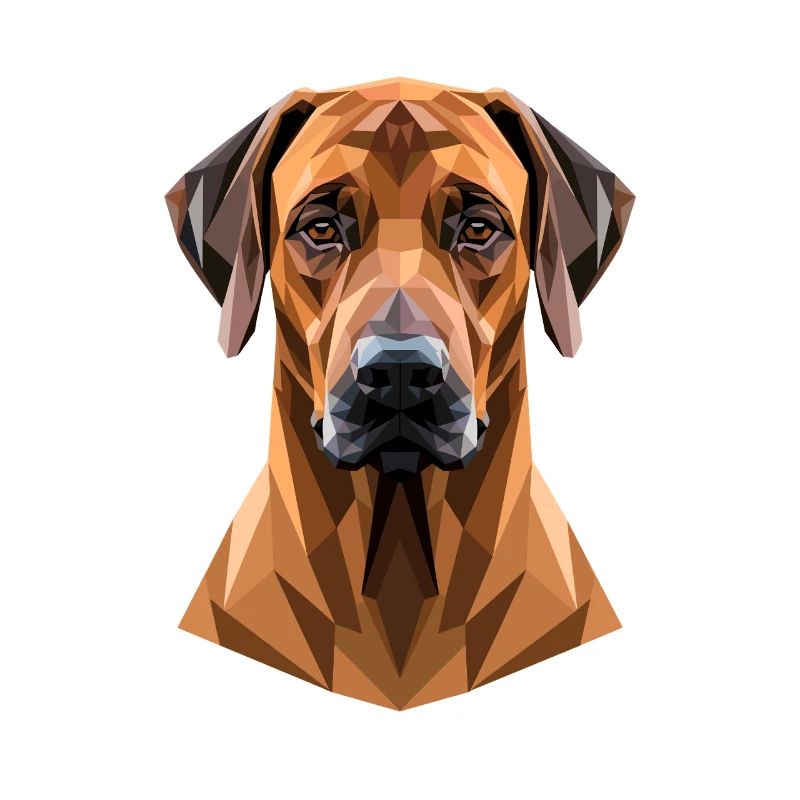 Chiens de chasse Rhodesian Ridgeback Pride Ridgeback