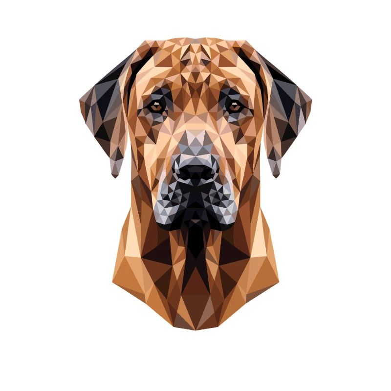 Chiens de chasse Rhodesian Ridgeback Pride Ridgeback