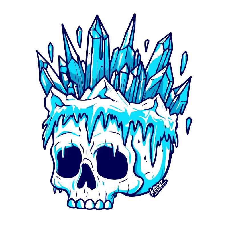 Winter Crystal Skull