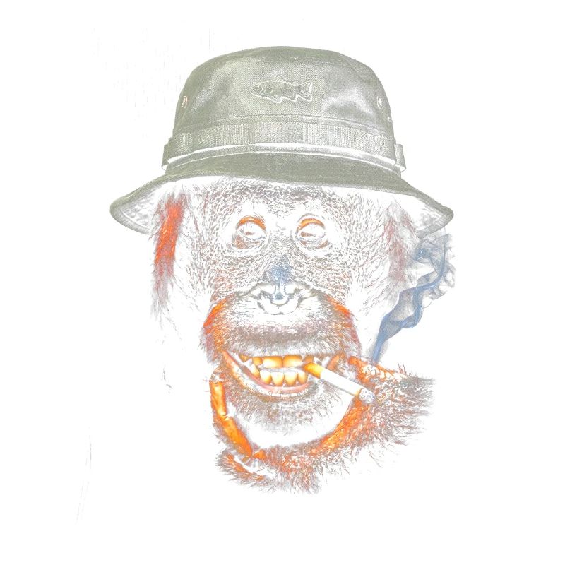 Orang-outan d’aventure avec chapeau