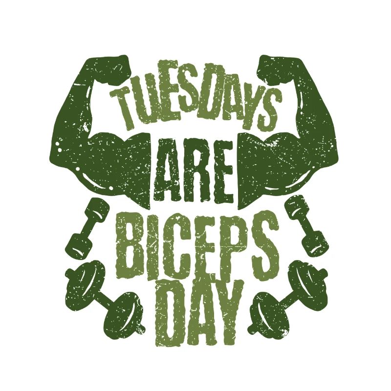 Biceps Bicep Training Bodybuilder Gym