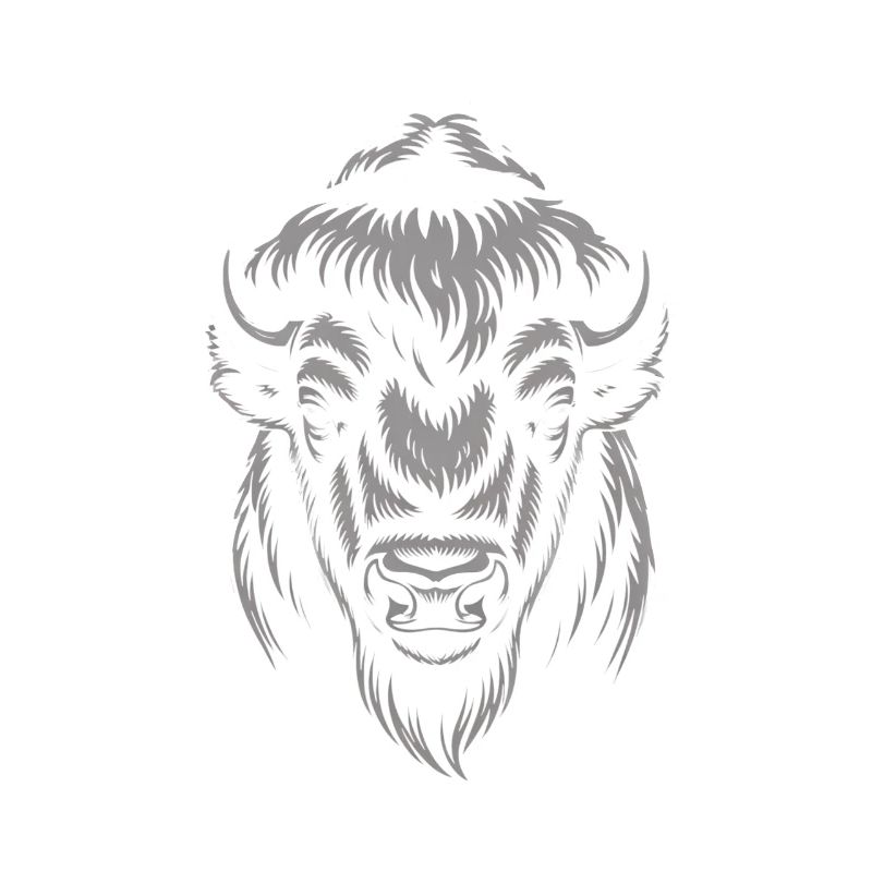 Grauer Bison Kopf