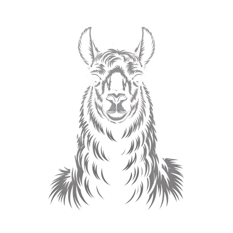 Llama Portrait