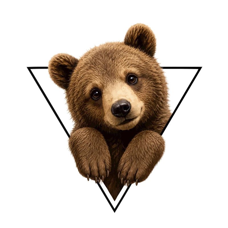 Ourson en triangle